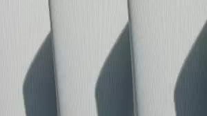 Paralelní Polis